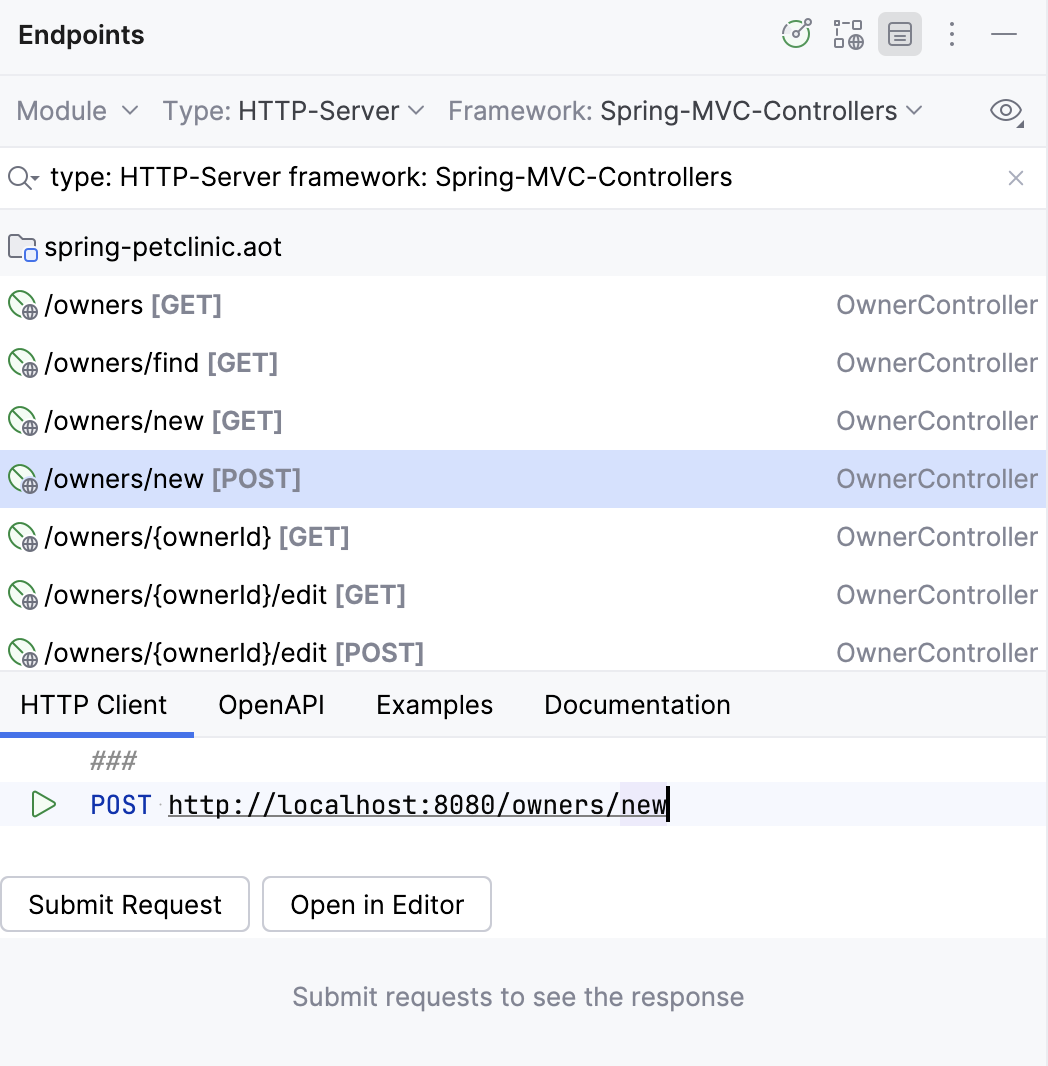 Endpoints tool window