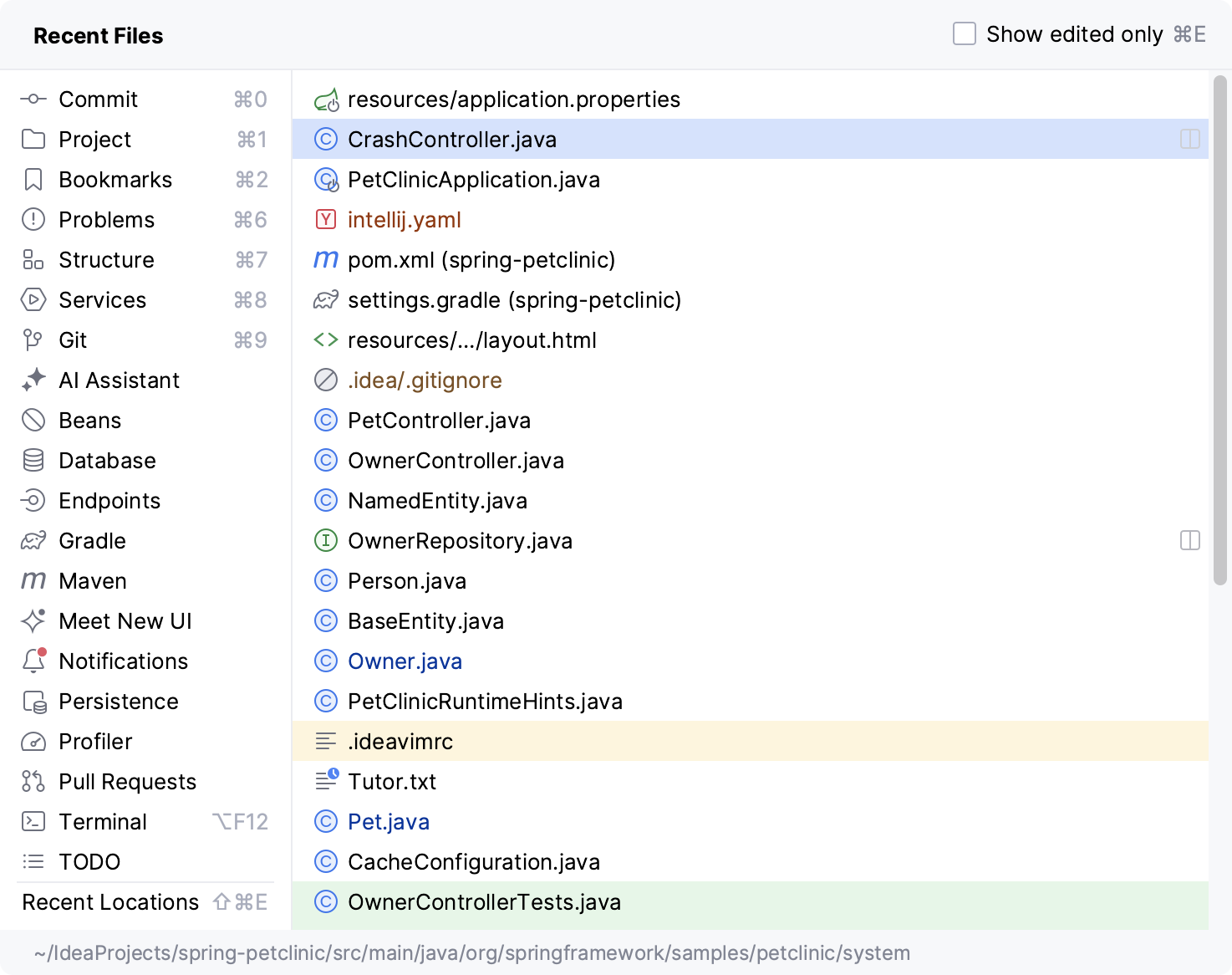 IntelliJ IDEA の概要  | IntelliJ IDEA ドキュメント 