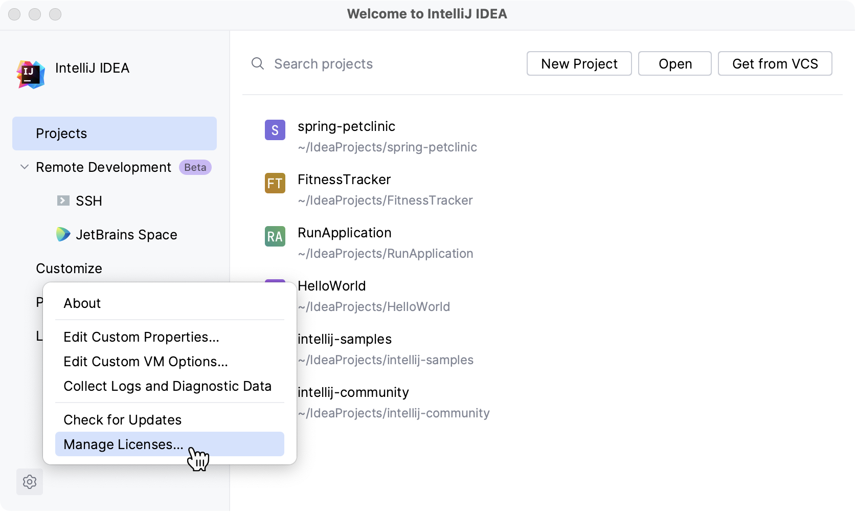 IntelliJ IDEA: Licenses dialog