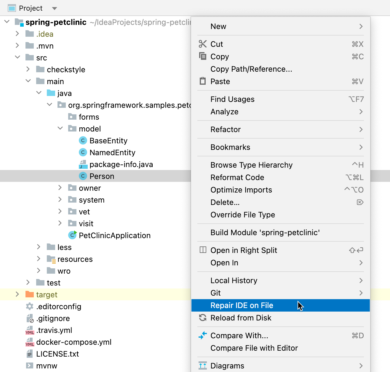 Repair IDE on File