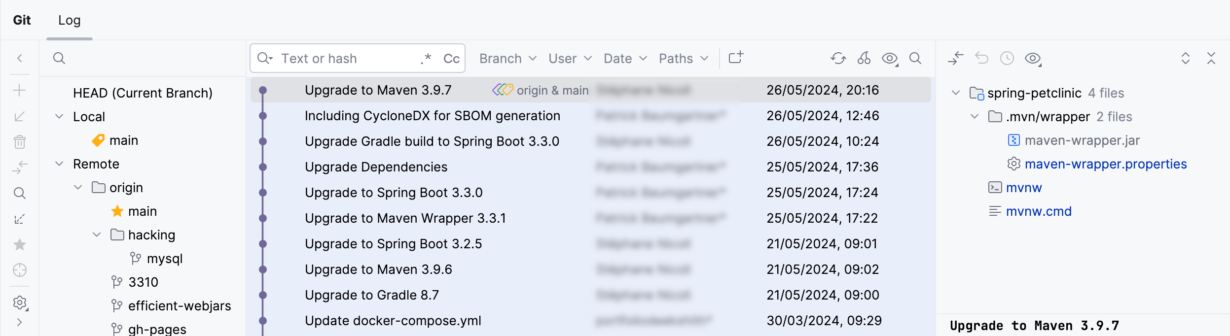 The Log tab of the Git tool window