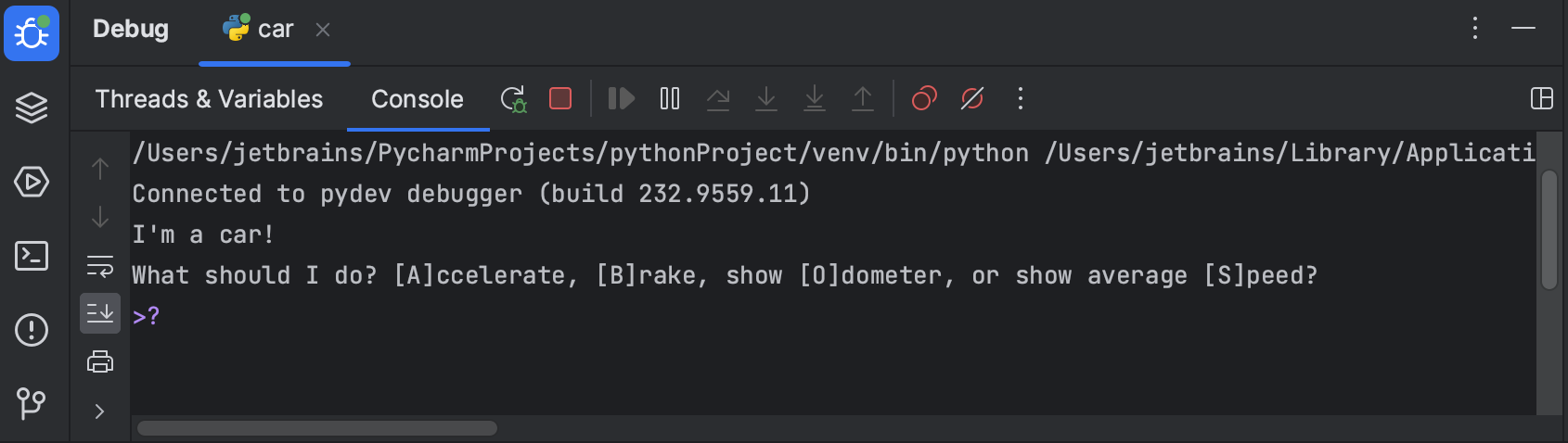 Debug your first Python application | PyCharm Documentation