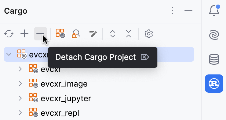Detaching a Cargo project from the Cargo tool window