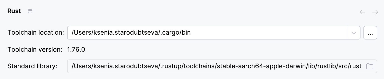 Rust toolchain and standard library recognized in RustRover