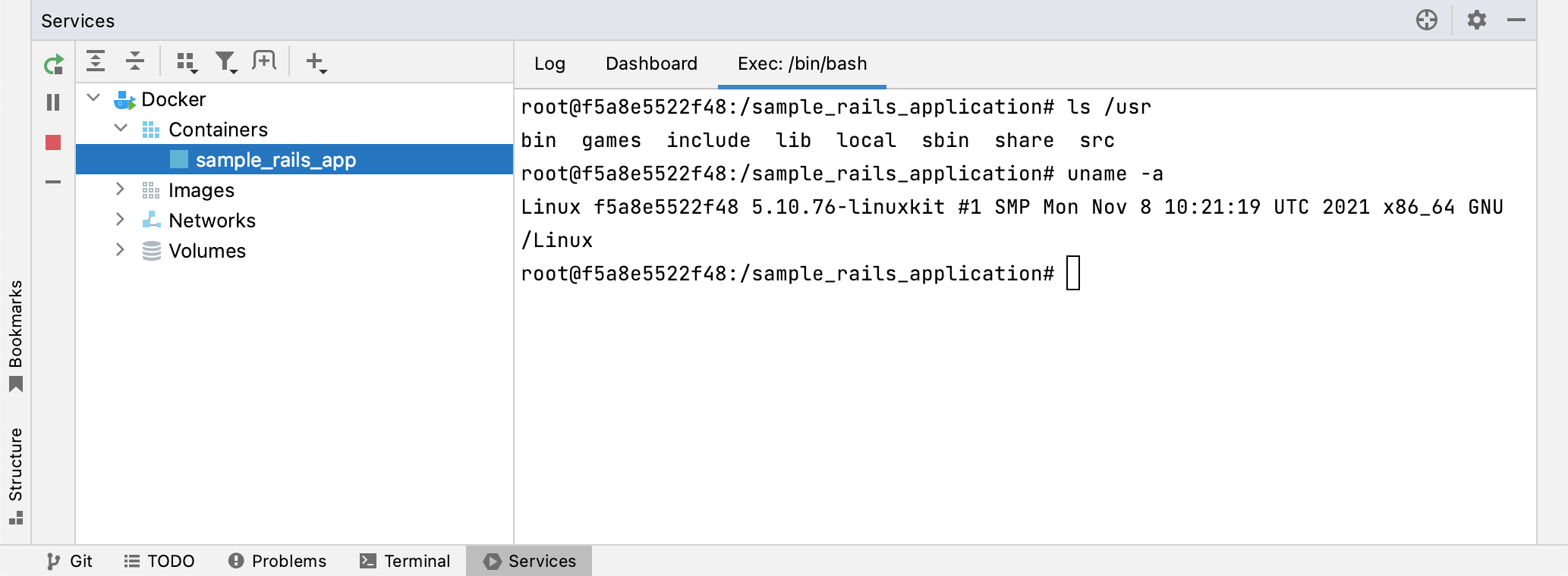 The Exec tab with /bin/bash running