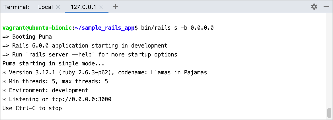 SSH terminal session