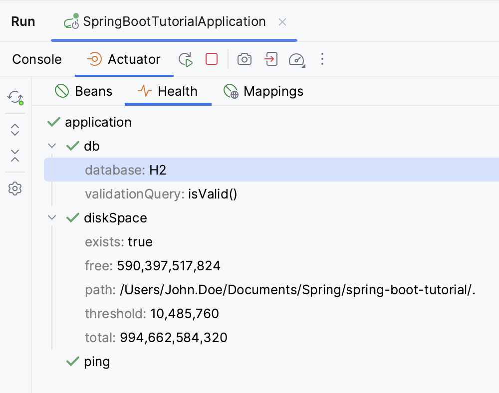 Spring Boot Health endpoints tab