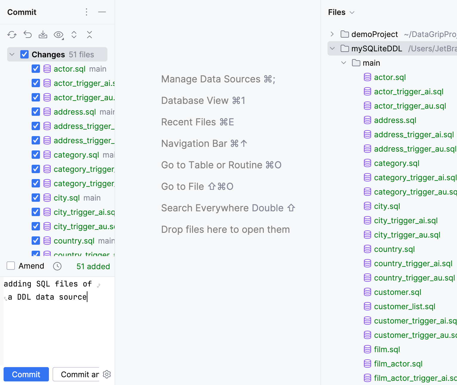 Commit and push your DDL data source to VCS