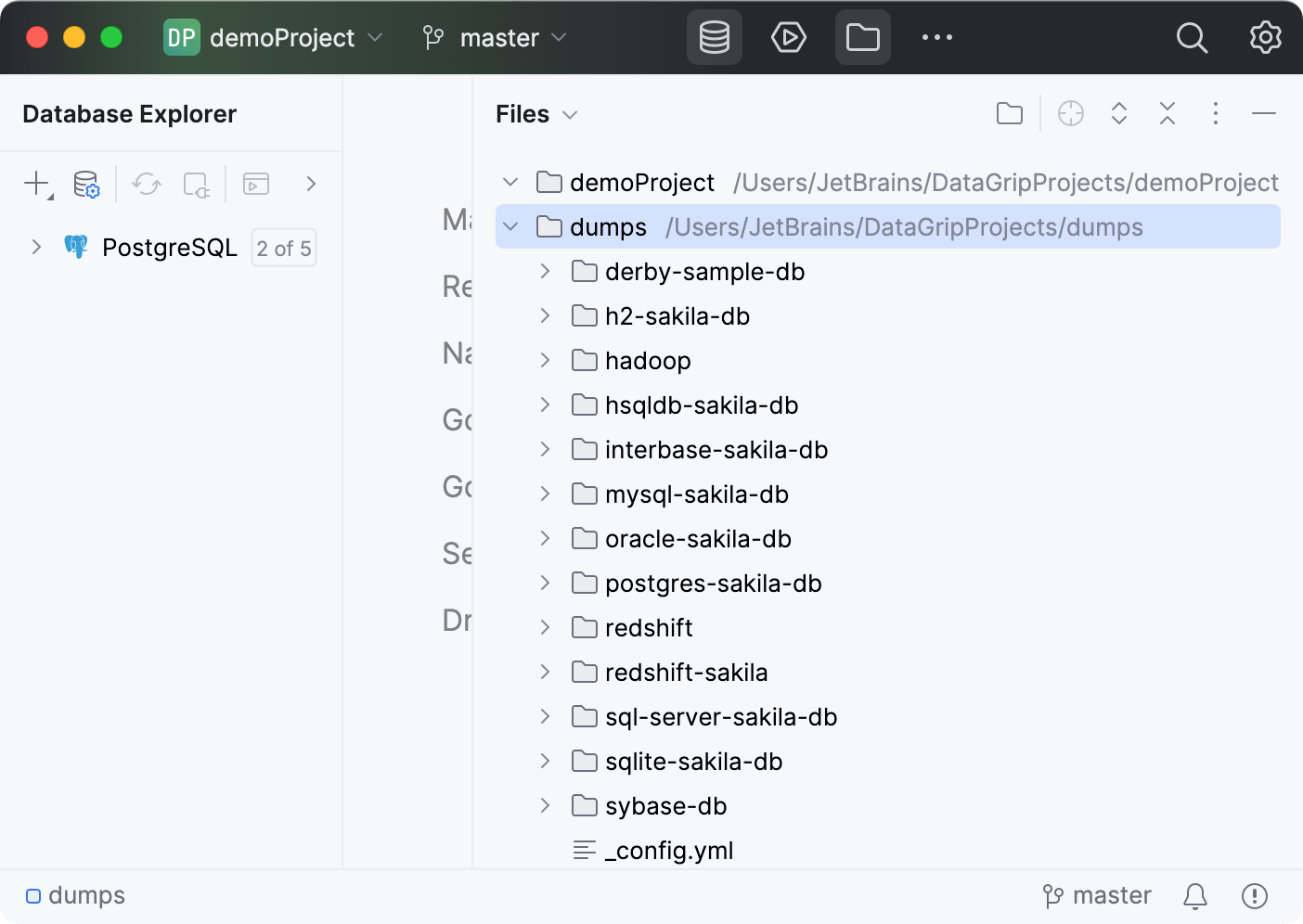 Cloned directory attached to the existing project