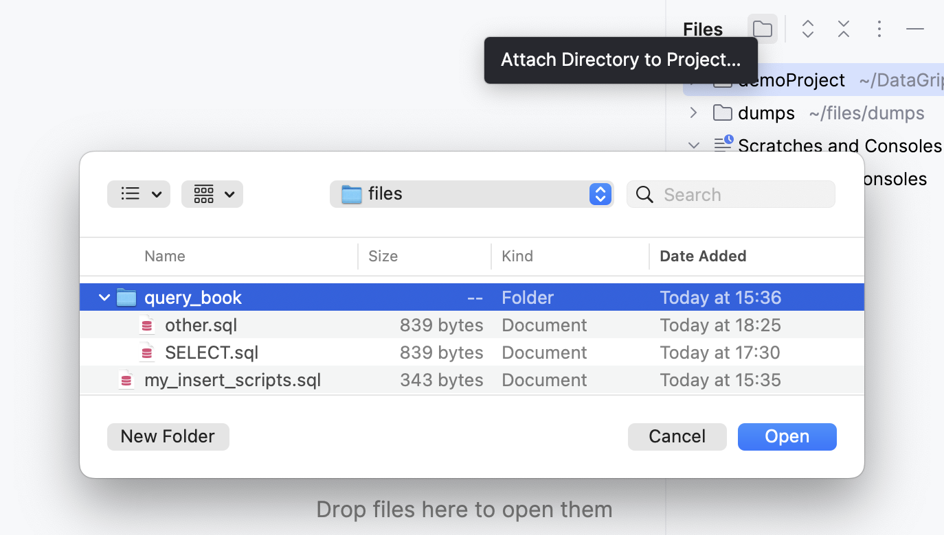 Attaching the directory with the SQL file to the DataGrip project Attaching the directory with the SQL file to the DataGrip project