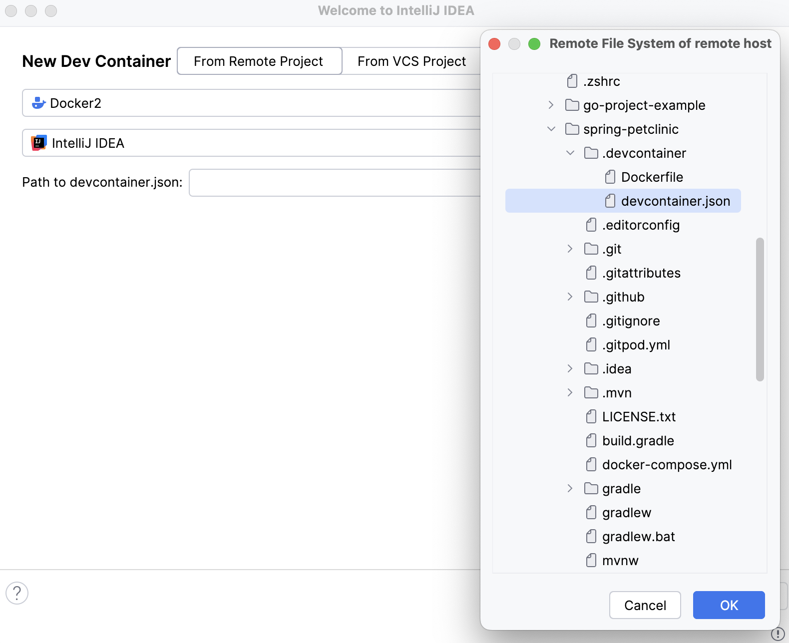 JSON file from a remote file system