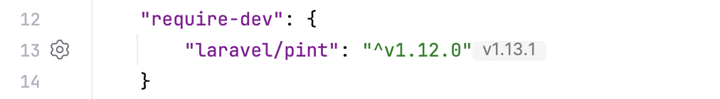 Gutter icon for laravel_pint settings in composer.json