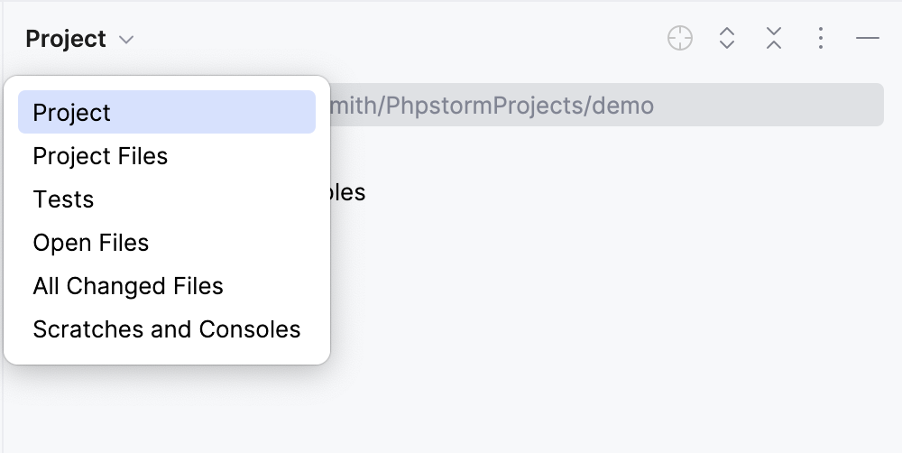 PhpStorm: choosing a view in the Project tool window