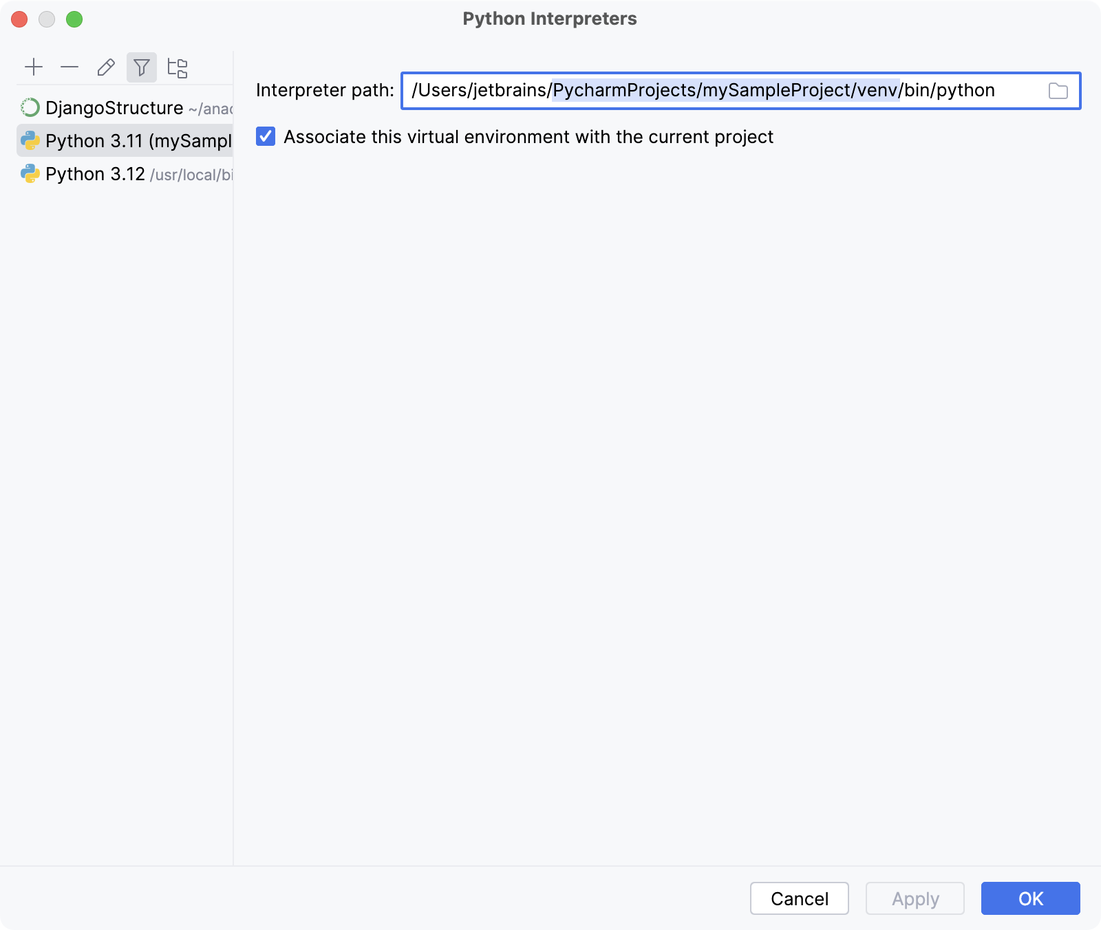 Discover the interpreter path for the selected venv