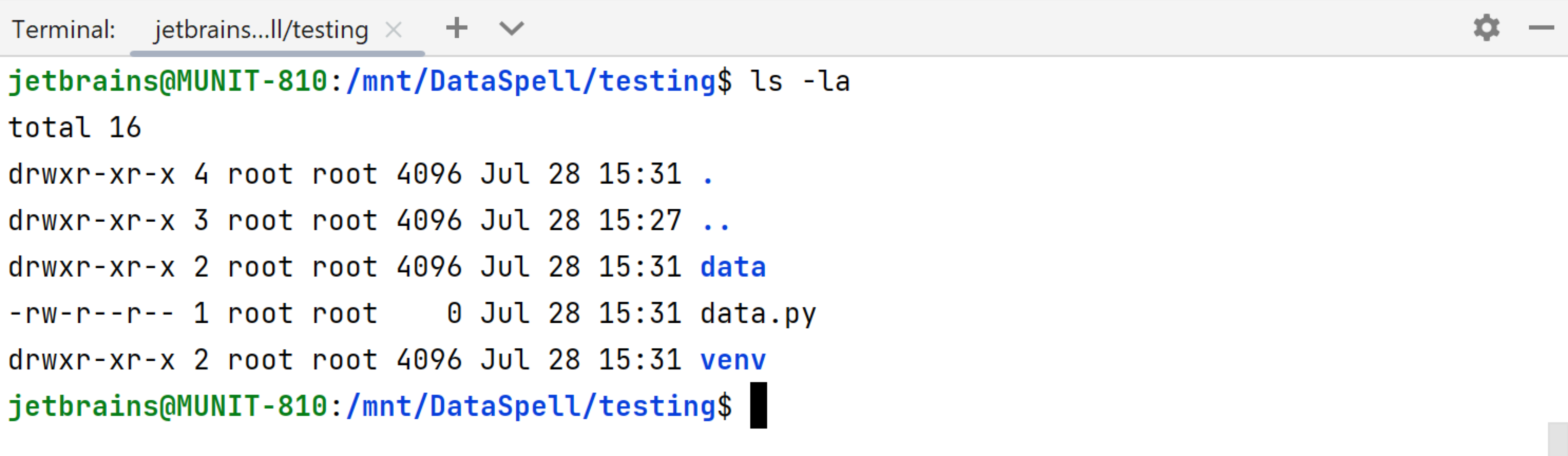 Terminal in WSL configurations