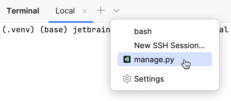 Opening manage.py in the terminal