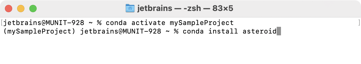 Installing a Python package on a virtual environment