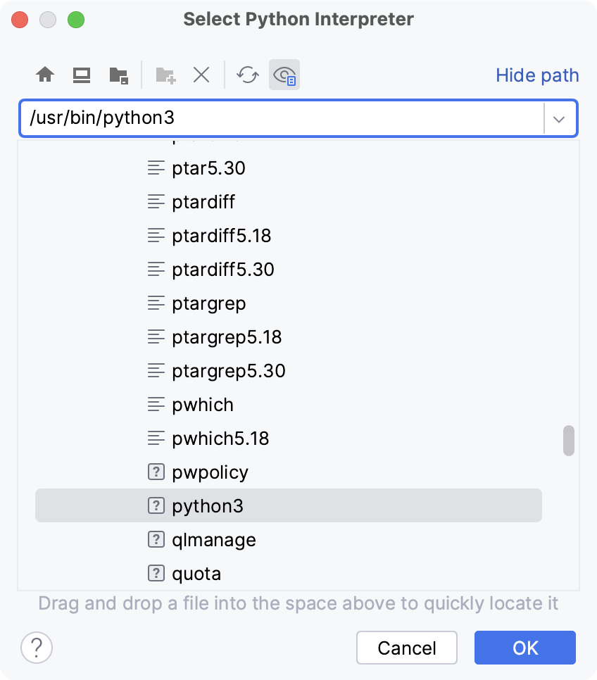 Selecting the Python executable