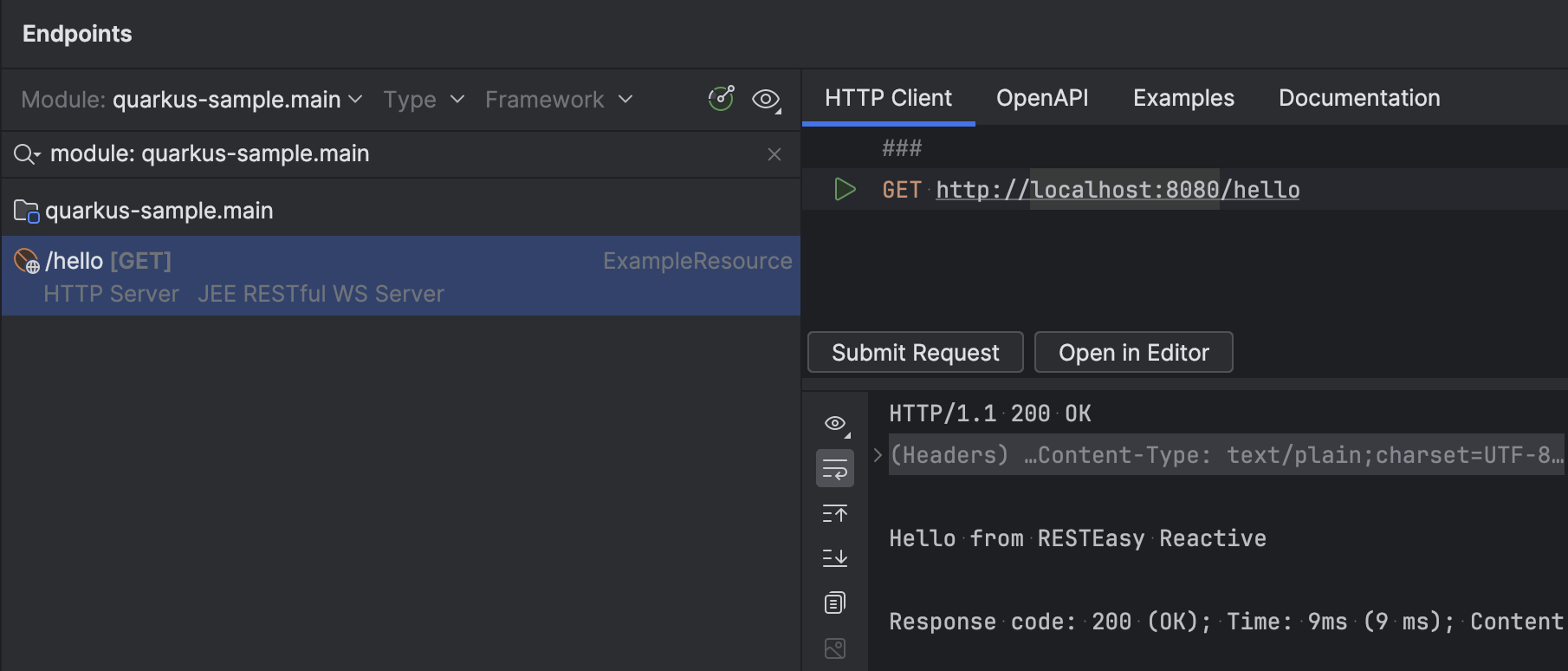 Quarkus Java Code Example Quarkus | IntelliJ IDEA Documentation