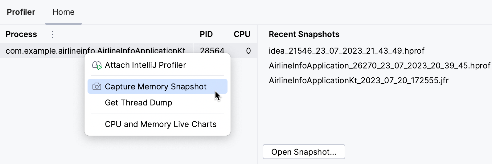 A menu appears on right-clicking a process in the Profiler tool window