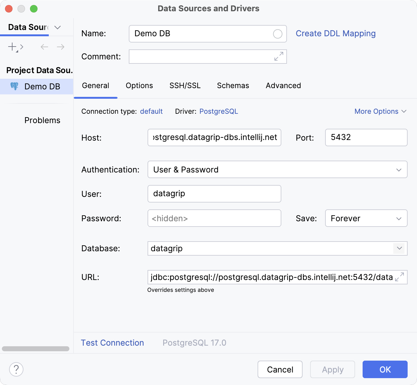 Settings of a new data source in the Data Source and Drivers dialog