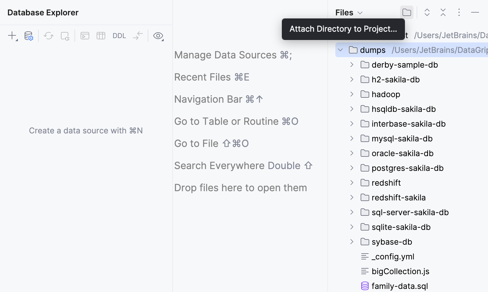 Directory with dump files is attached to the DataGrip project