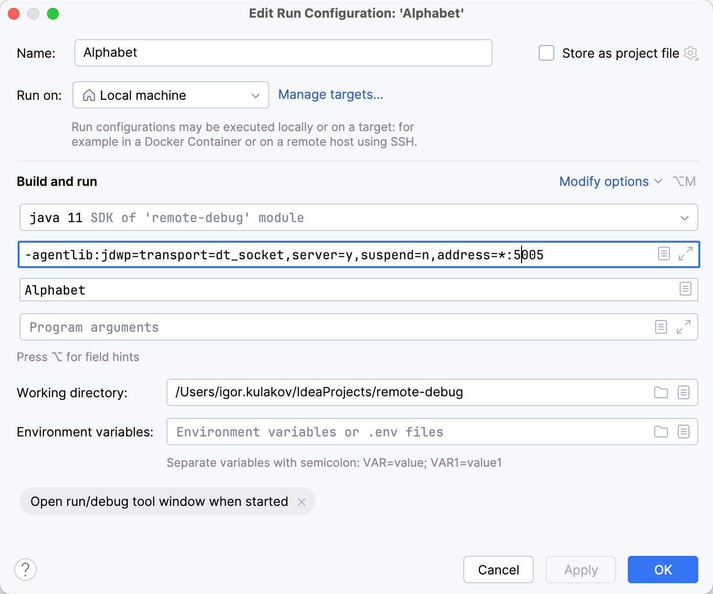 VM options field in the run/debug configuration of the host app