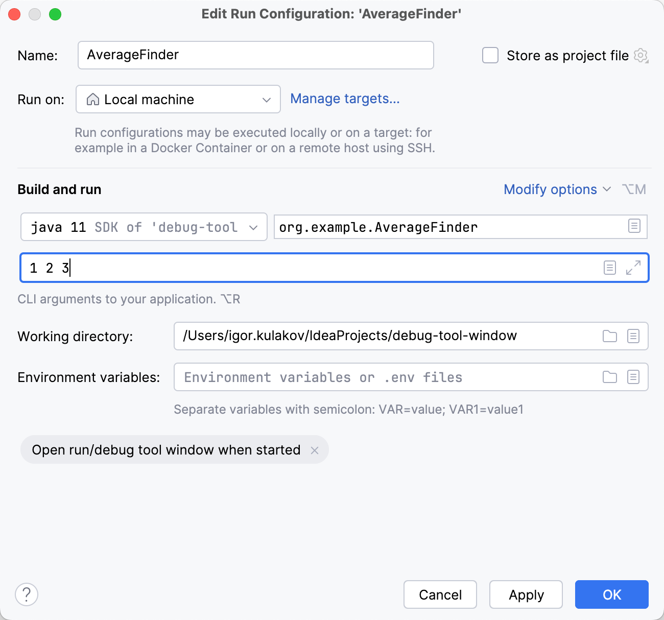 Arguments are entered in the Program arguments field