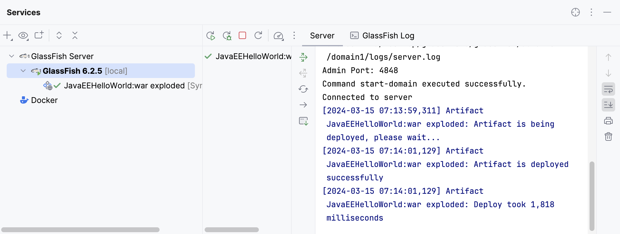 Started GlassFish server and deployed application in the Services tool window