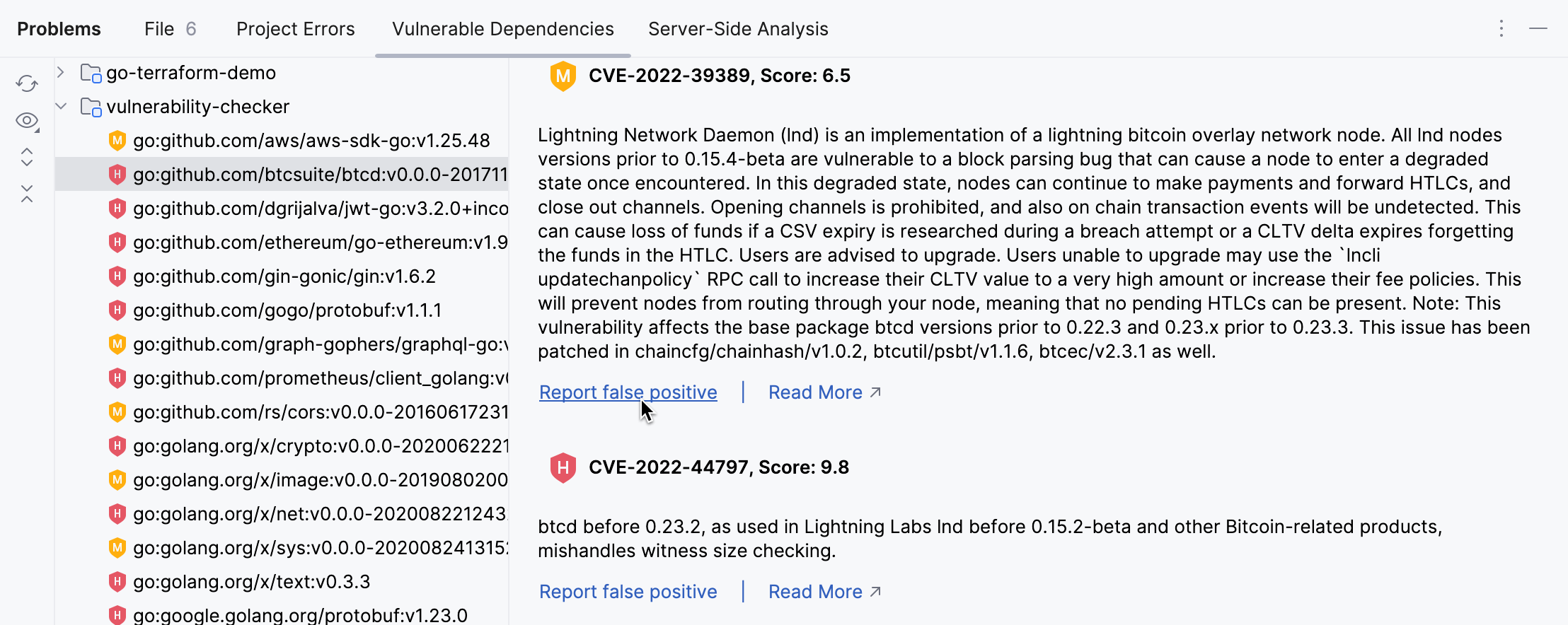 Report false vulnerable dependency