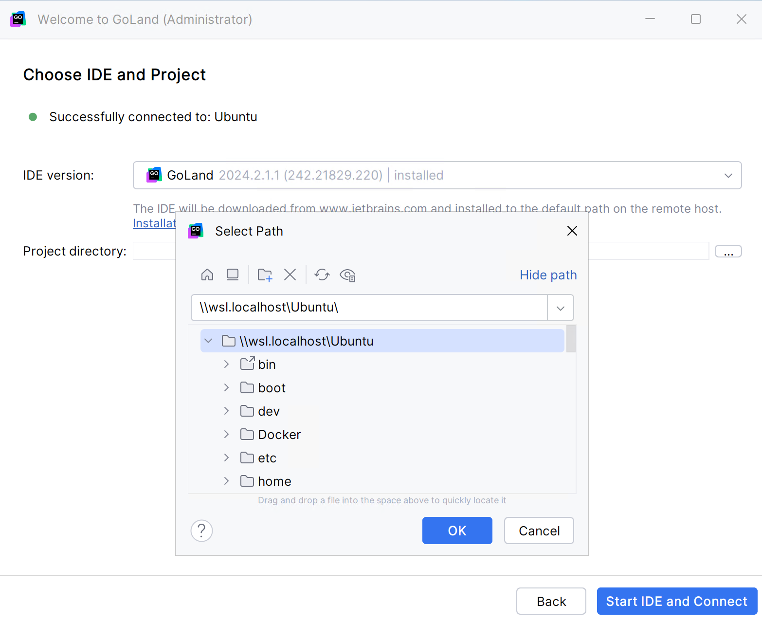 Choose the IDE version and a project