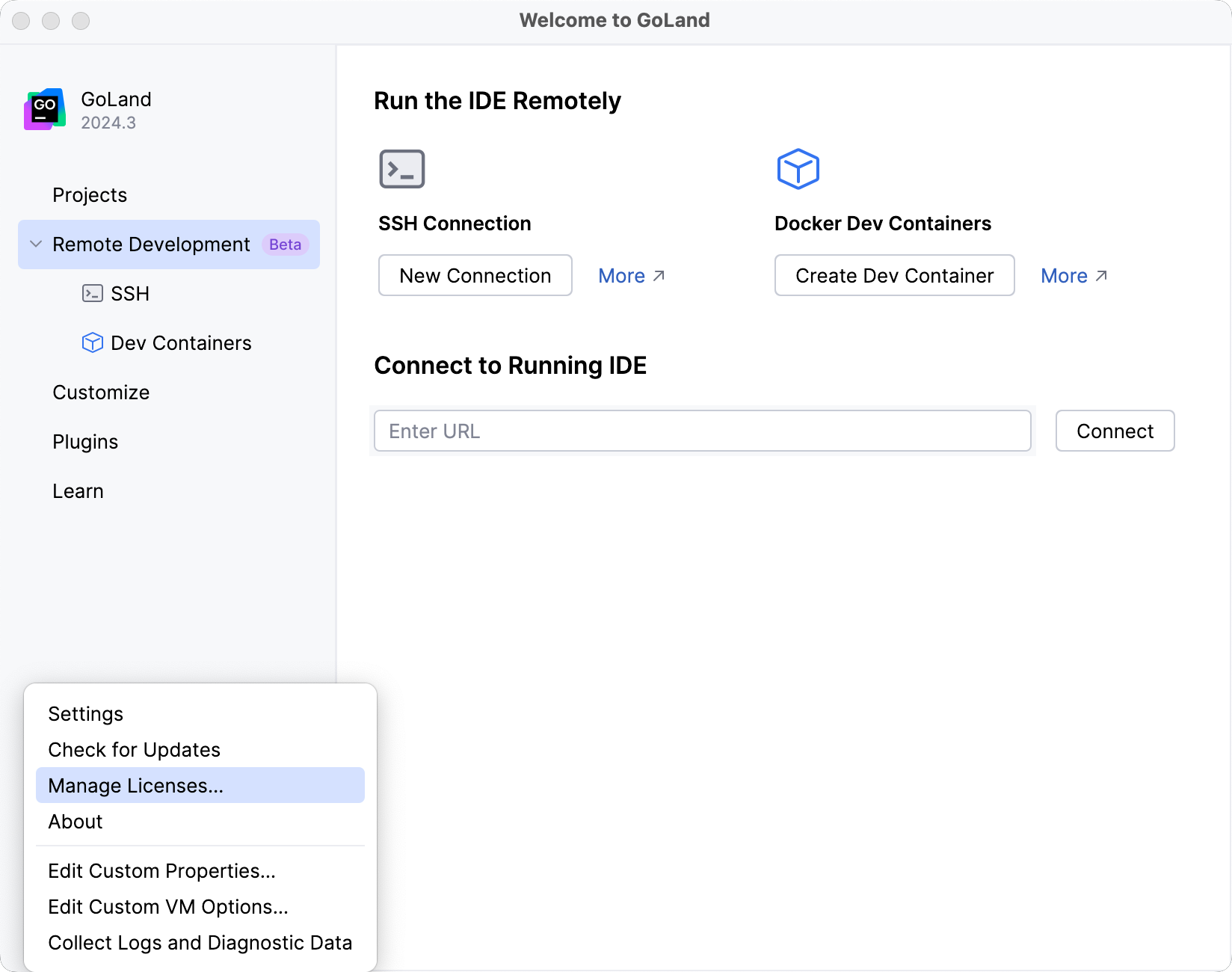 GoLand: Licenses dialog