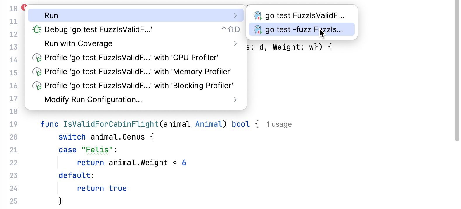 Running fuzz testing