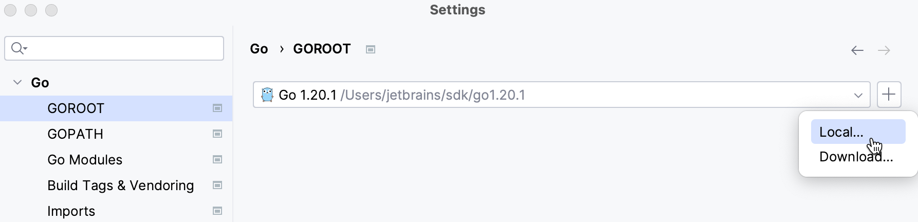 Select a local copy of Go SDK