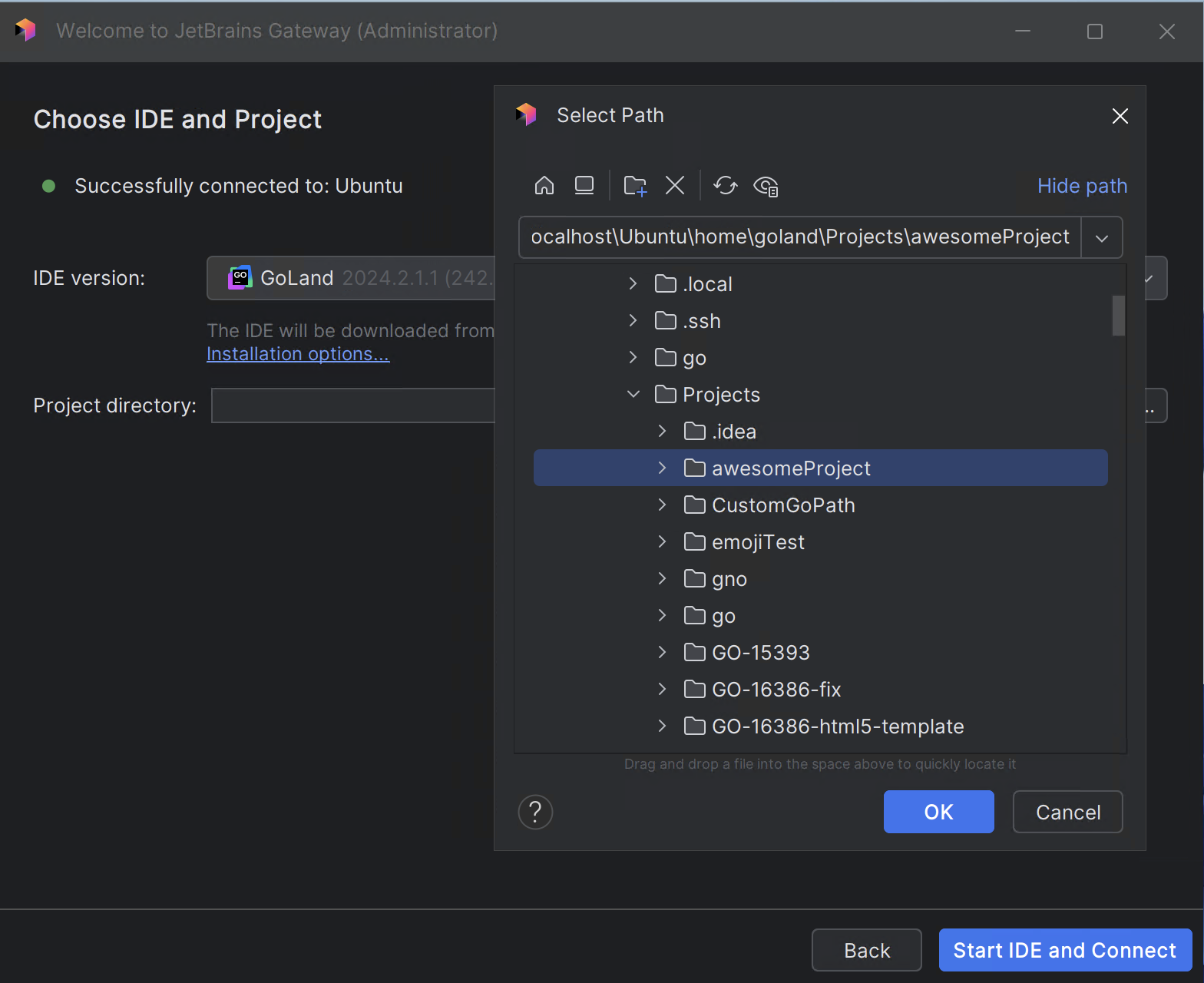 Choose the IDE version and a project