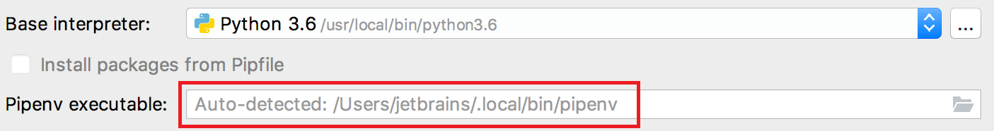 Path to the pipenv executable is autodetected