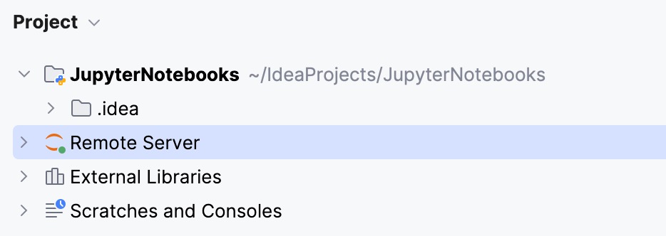 Remote server in the Project View panel