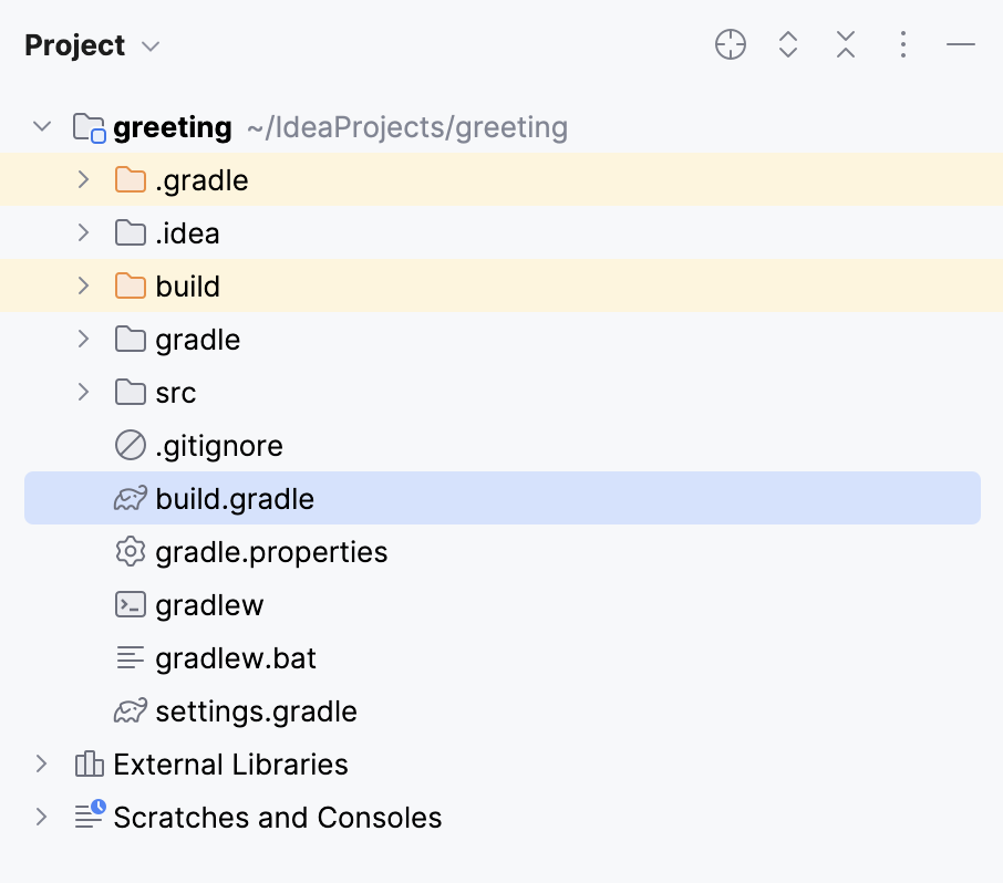 The Build Gradle script in the project structure