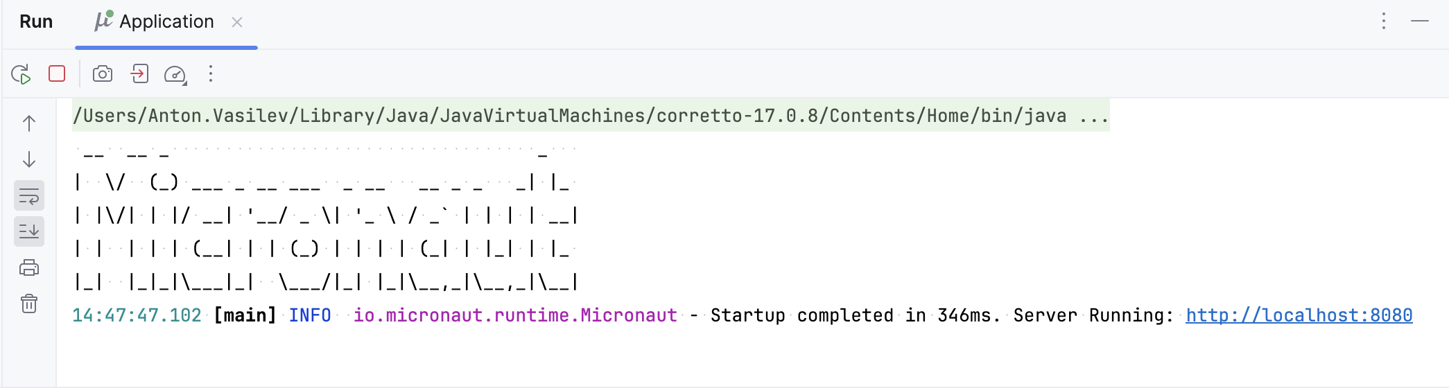 Micronaut application running in the Run tool window