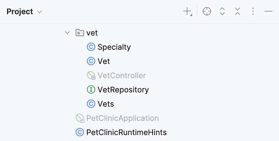 Bean classes have different icons in the Project tool window