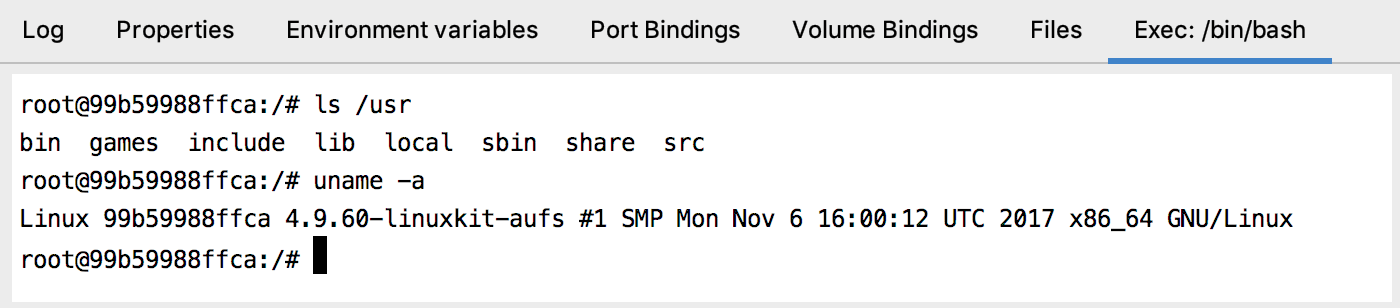 The Exec tab with /bin/bash running