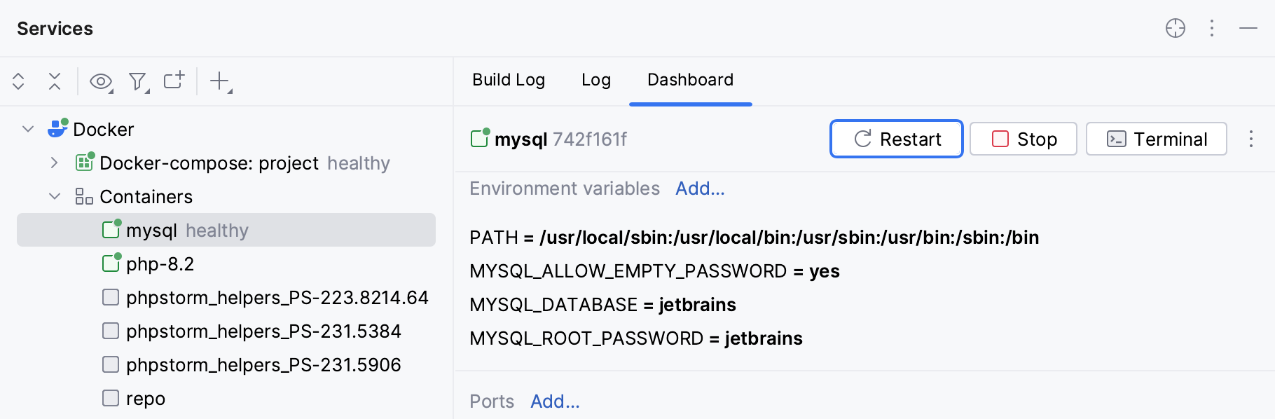 The Dashboard tab of a container selected in the Services tool window