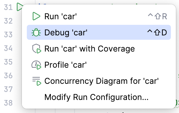 Run/Debug options