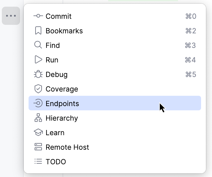 Open Endpoints tool window