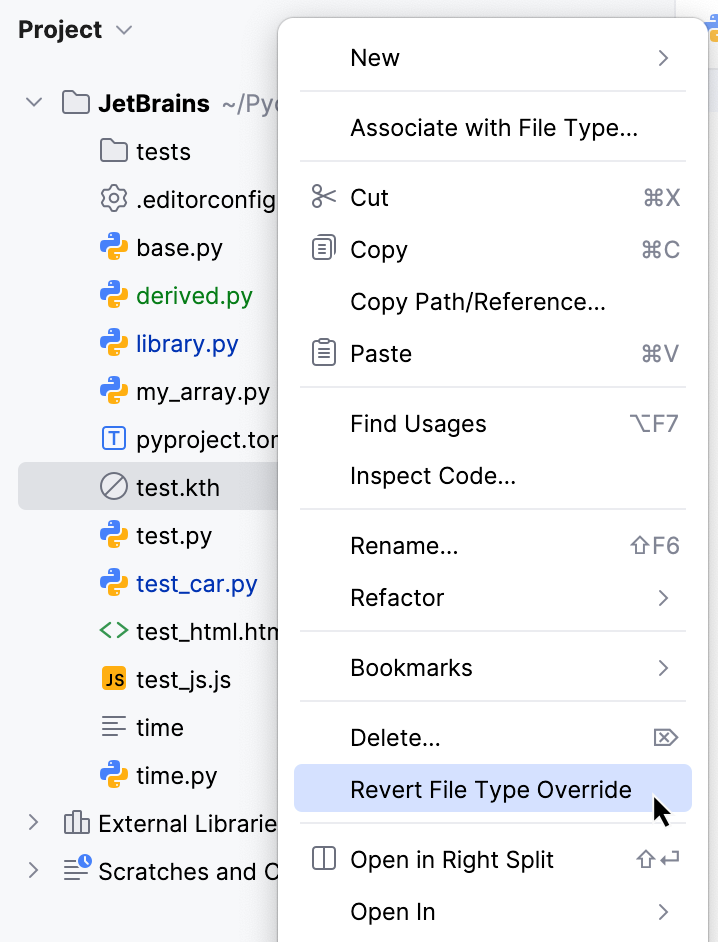 Changing file type from Project tool window