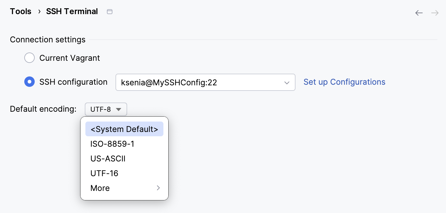 SSH Terminal settings