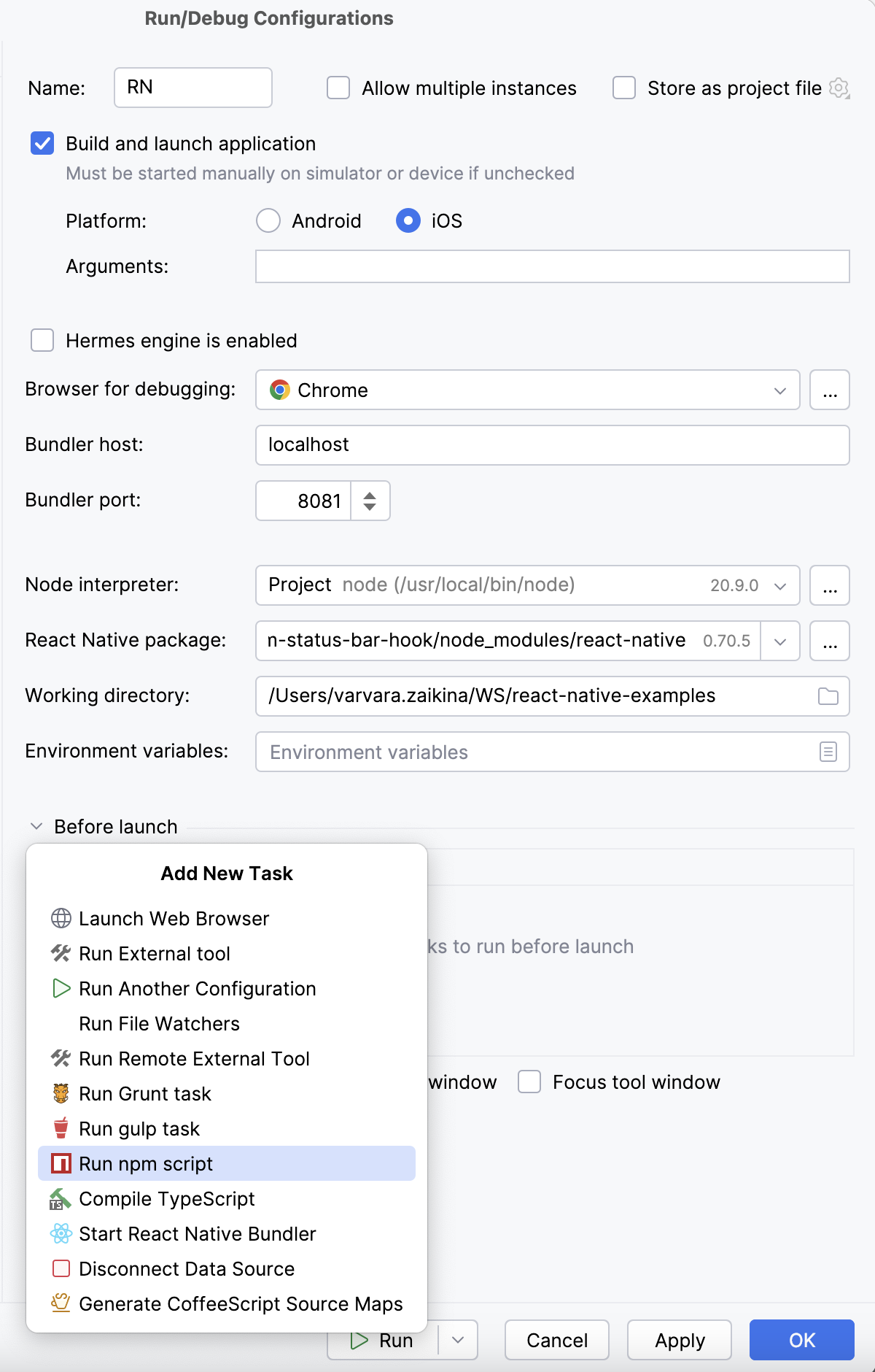 Add an npm script as a Before launch task