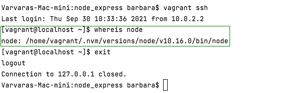 Locate Node.js executable in a Vagrant environment