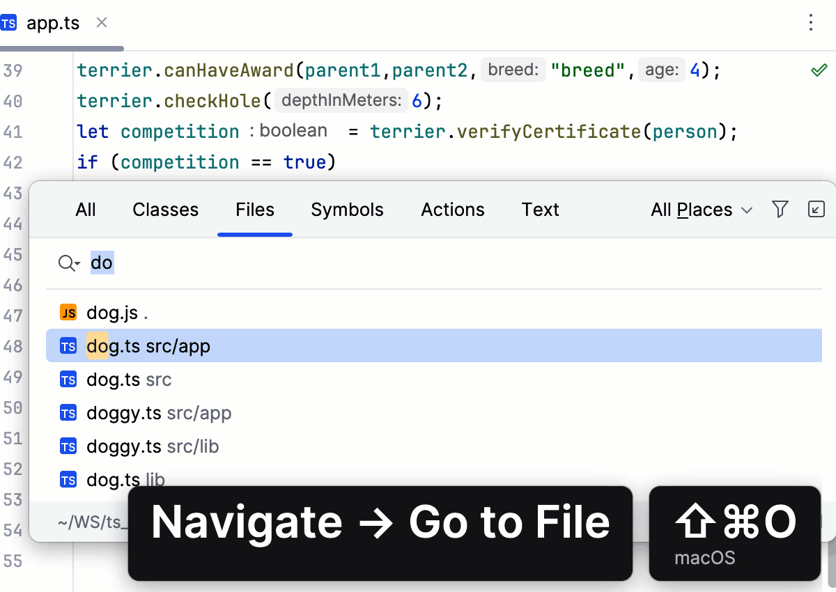 he Presentation Assistant displays the Find in Files command in the IDE