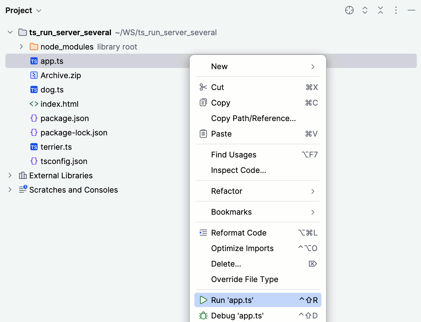 Run server-side TypeScript from the Project tool window